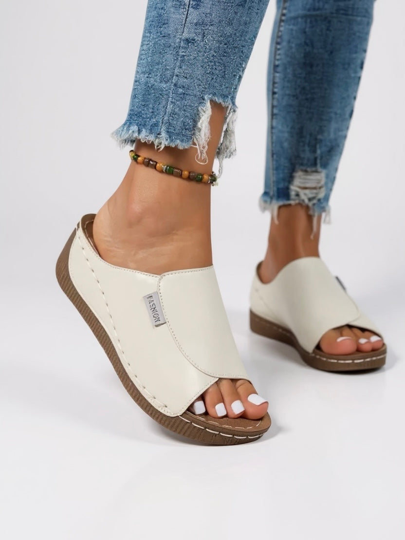 Ayla | Platform Slides