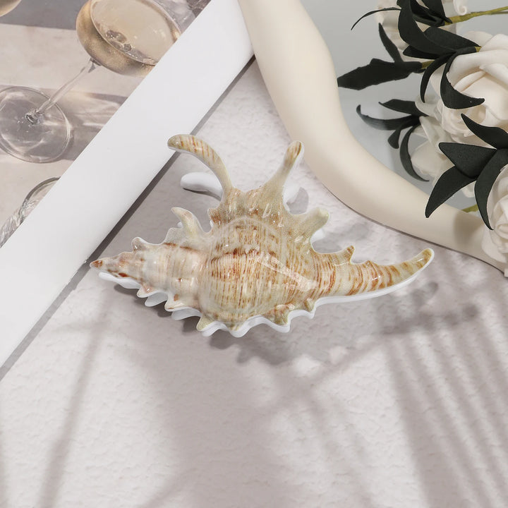 AWAYTR™ | Ocean Conch Hair Claw Clips for Women Shell Crab Hair Clip shell Catcher Ins Fairy Summer Sea Y2K Hair Accessries