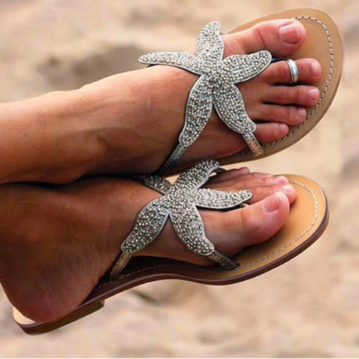 Sunny | Coastal Sea Star Slides