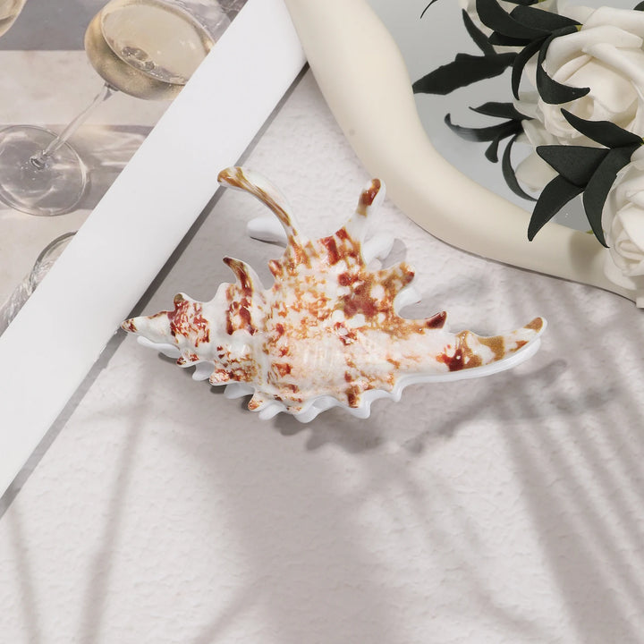 AWAYTR™ | Ocean Conch Hair Claw Clips for Women Shell Crab Hair Clip shell Catcher Ins Fairy Summer Sea Y2K Hair Accessries