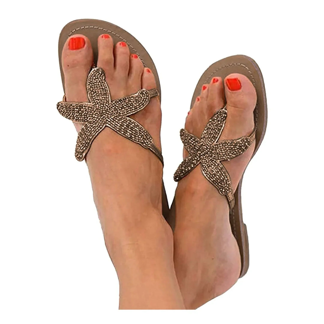 Sunny | Coastal Sea Star Slides
