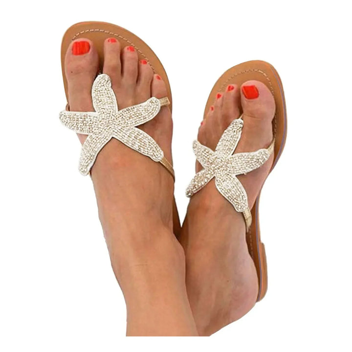 Sunny | Coastal Sea Star Slides