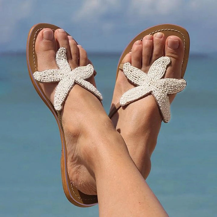 Sunny | Coastal Sea Star Slides