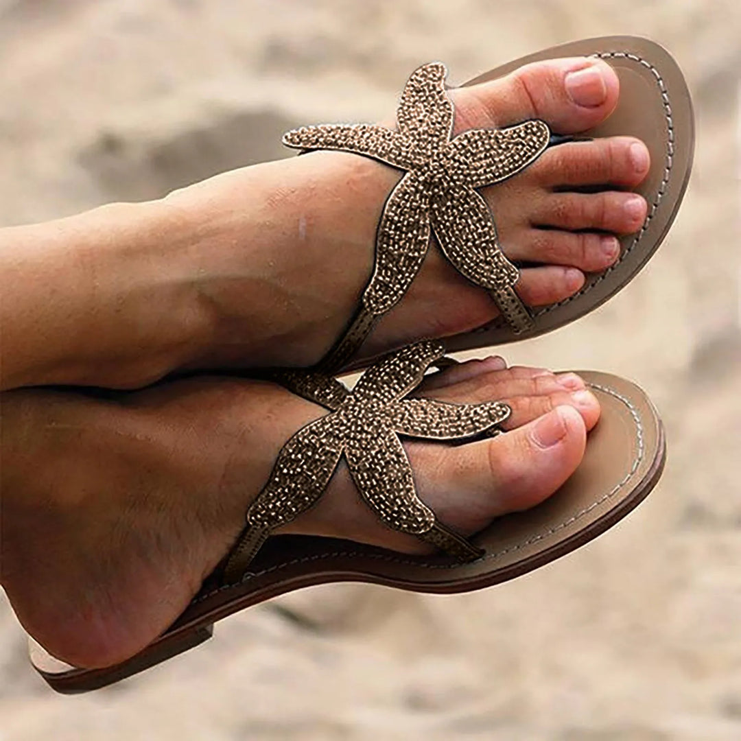 Sunny | Coastal Sea Star Slides