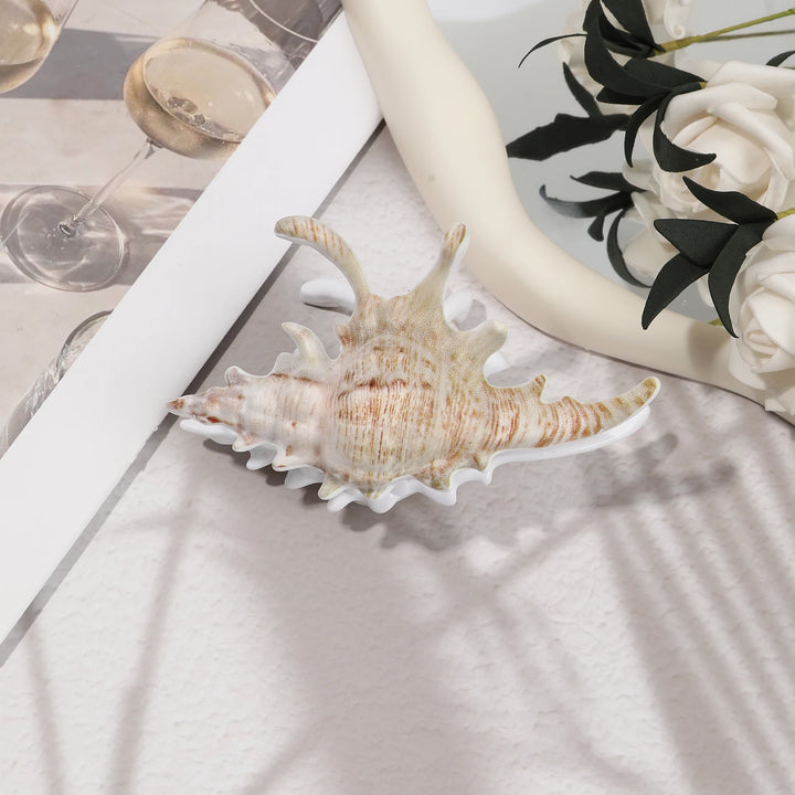 AWAYTR™ | Ocean Conch Hair Claw Clips for Women Shell Crab Hair Clip shell Catcher Ins Fairy Summer Sea Y2K Hair Accessries