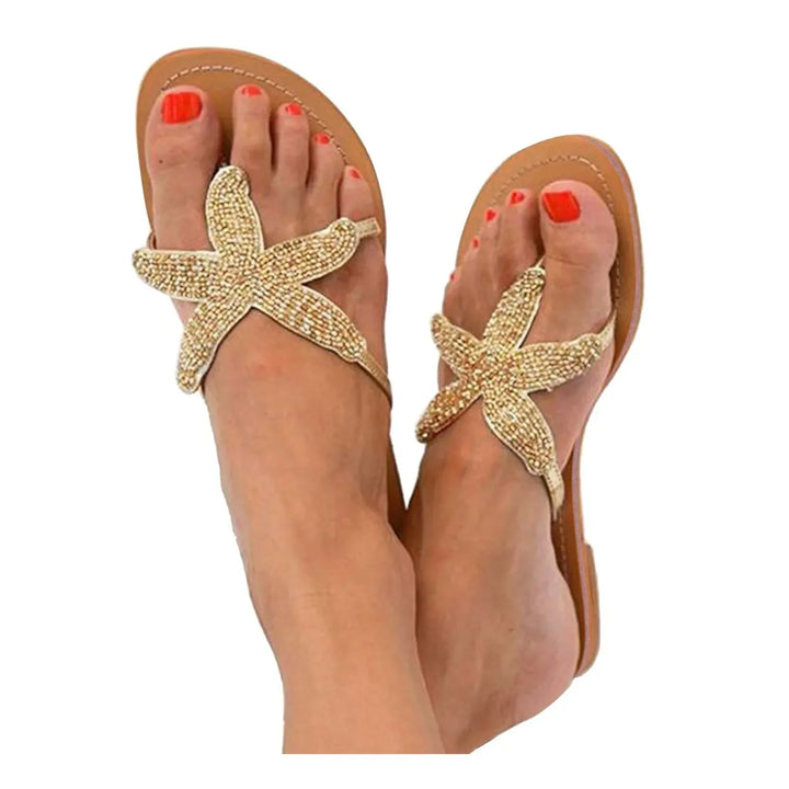 Sunny | Coastal Sea Star Slides