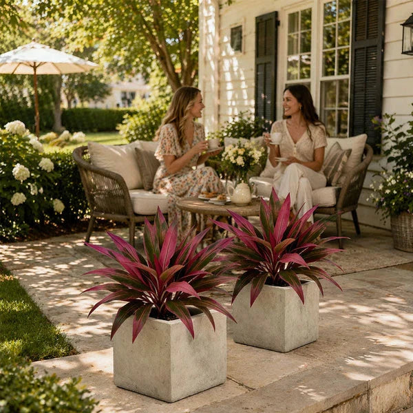 Zivara | Women's Faux Cordyline Outdoor Planter Set - Image 4