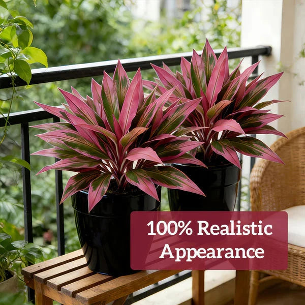 Zivara | Women's Faux Cordyline Outdoor Planter Set - Image 5