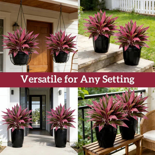 Zivara | Women's Faux Cordyline Outdoor Planter Set - Image 6