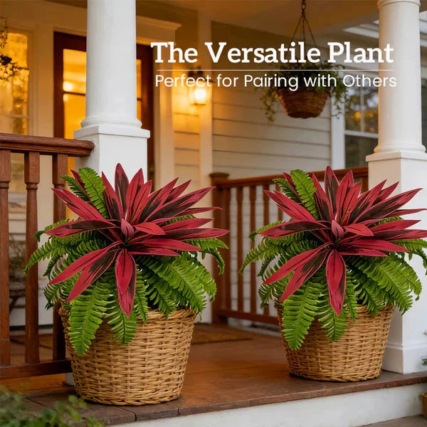 Zivara | Women's Faux Cordyline Outdoor Planter Set - Image 7