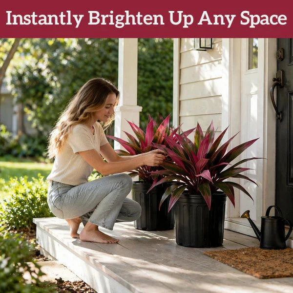 Zivara | Women's Faux Cordyline Outdoor Planter Set - Image 8